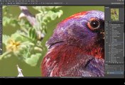 Post Processing with Adobe Photoshop - Removing Unwanted Objects