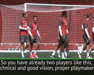 Manchester United don't need Ozil - Silvestre