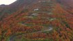 Descente en longboard de 69 virages d'une route de montagne au Japon à plus de 80km/h !