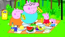 Learn Colors with Peppa Pig Coloring Pages For Kids - Peppa Coloring Book - Video For Children