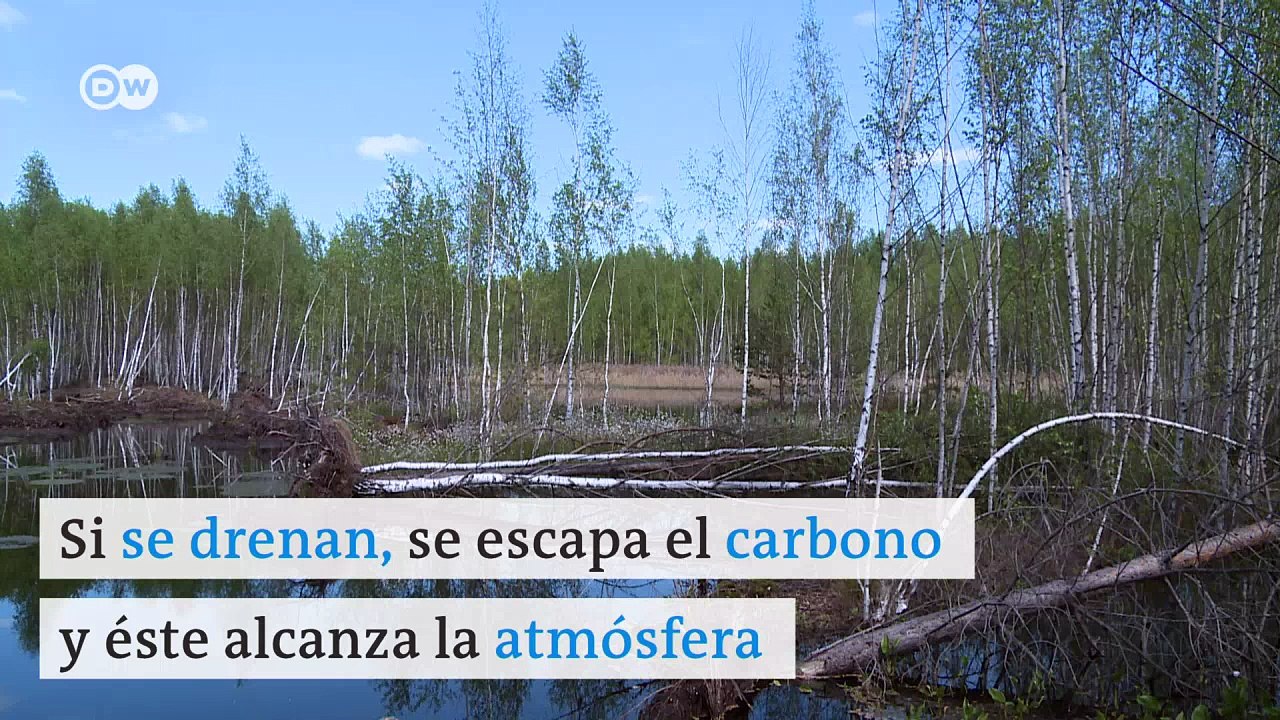 Nuestro valioso suelo | Global 3000