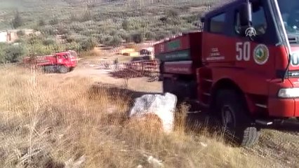 Selçuk'ta Zeytinlik Yangını