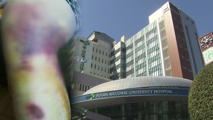 "피멍 들 때까지" 부산대 병원 교수, 전공의 상습 폭행 / YTN