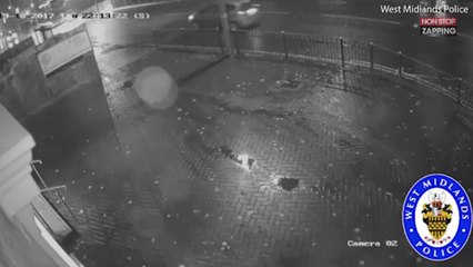 Une voiture percute violemment un homme et prend la fuite (vidéo)