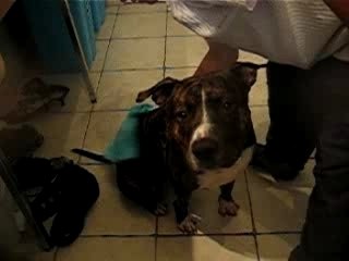 je pars toujours en live après ma douche!!!