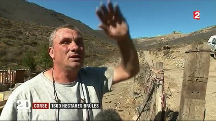 Incendie en Corse : une famille échappe aux flammes