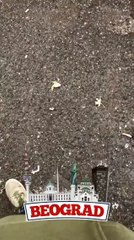 Kënga e Ledrit dëgjohet edhe në Beograd