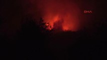 Bodrum'da 4 Hektar Makilik Alan Yandı