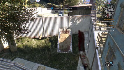 Backyard smackin