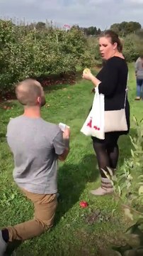 La réaction de sa copine quand il la demande en mariage est mythique... Bim!