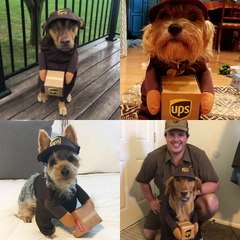 This is the cutest Facebook page on the internet [Mic Archives]