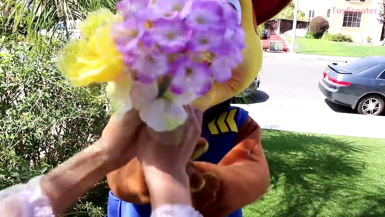 Princess Rapunzel vs Syringe! w/ Minnie Mouse, Spiderman, The Witch & Paw Patrol Marshall IRL