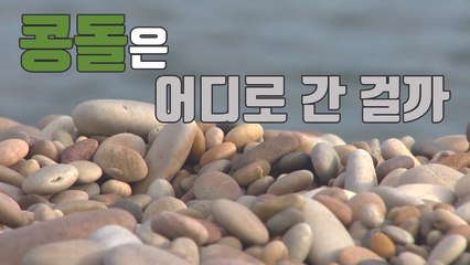 [자막뉴스] 사라지는 자연 유산...백령도 콩돌 해변 / YTN