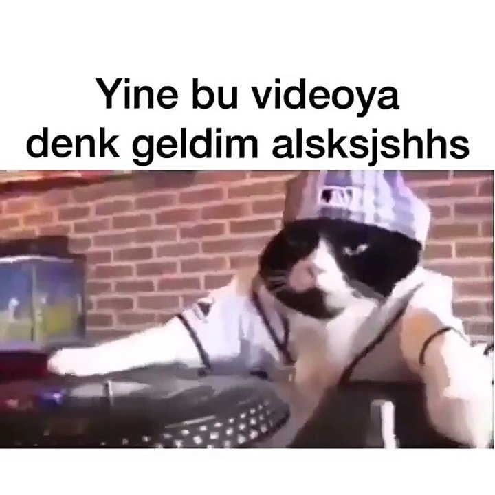 Dj Minnoş Kedi