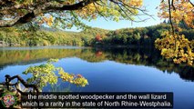 Top Tourist Attractions Places To Travel In Germany | Eifel National Park Destination Spot - Tourism in Germany
