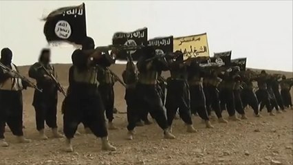 ستيوارت: يجب قتل البريطانيين المقاتلين مع تنظيم الدولة بسوريا