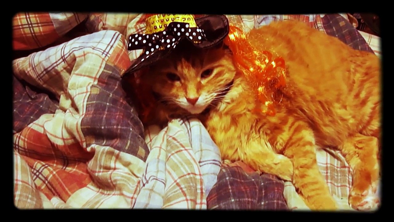 Witchie Poo Milow!