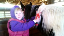 Little Girls and Horses: Dreams Do Come True
