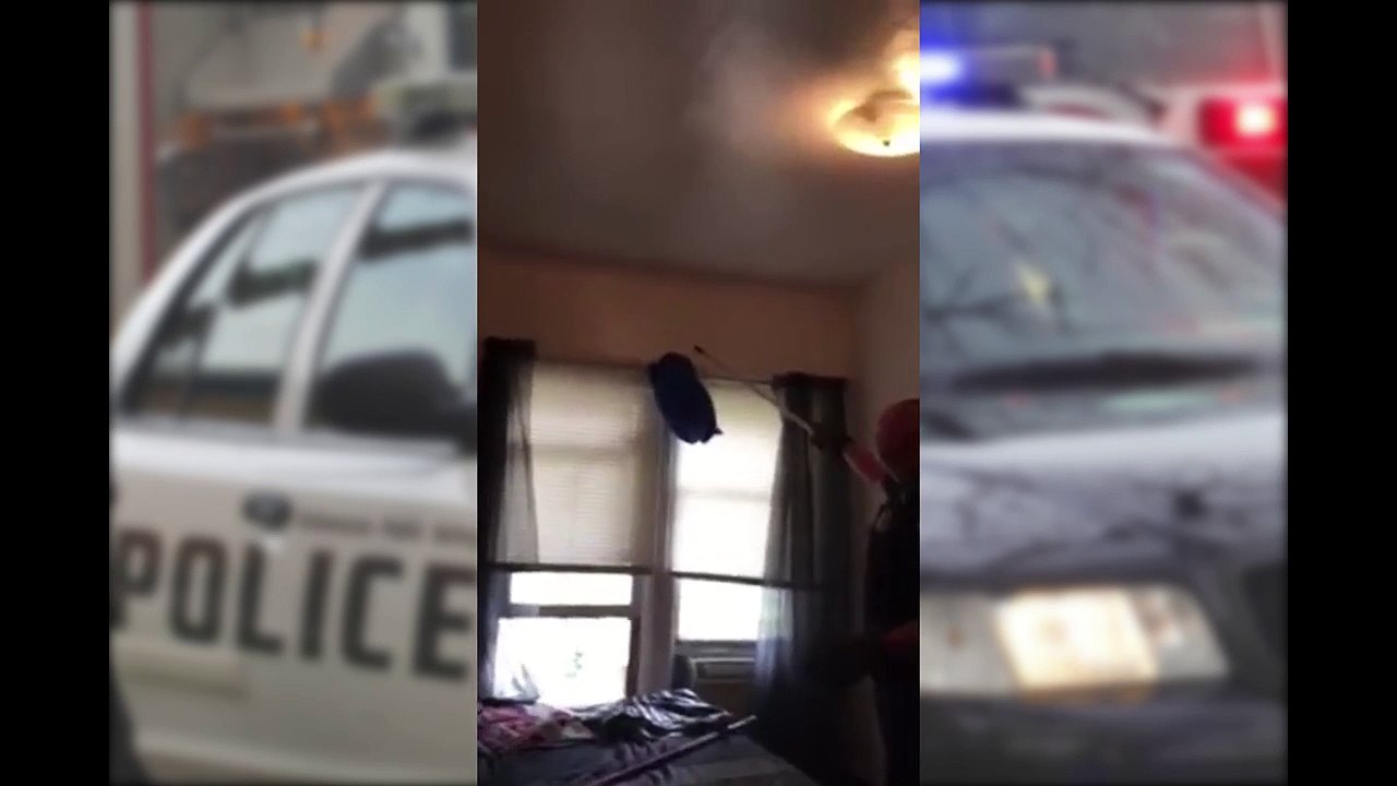 Police Trying To Catch A Bat