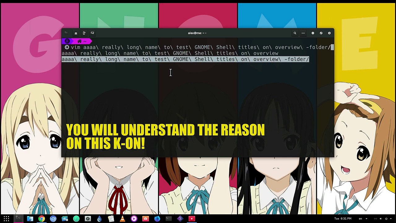 this is why GNOME hides the window titles on Shell overview 「GNOME 3.26」