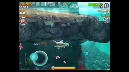 Games for Kids Hungry Shark Evolution Shark Attack Android Gameplay HD