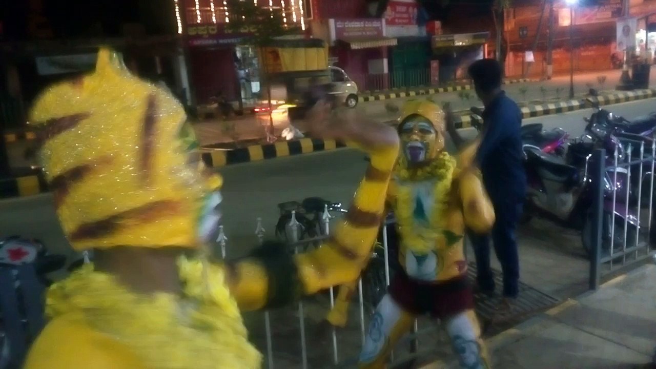 Hulivesha