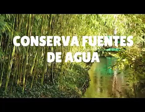 Propiedades del Bambú