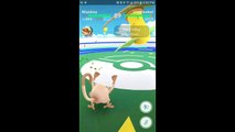 Pokémon GO Gym Battles 2 Gyms Tauros Mankey Primeape Snorlax Hitmonlee & more