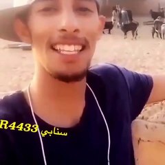 Goat selfies most funny