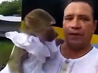 Monkey and man very funny videos