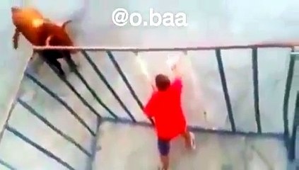 Bull hit videos in bull fighter games