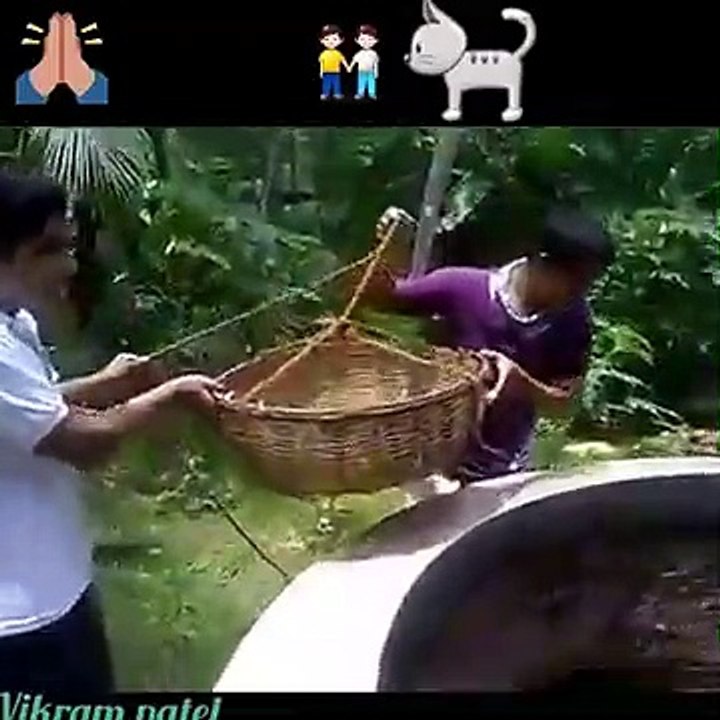 Cat fall in well very funny