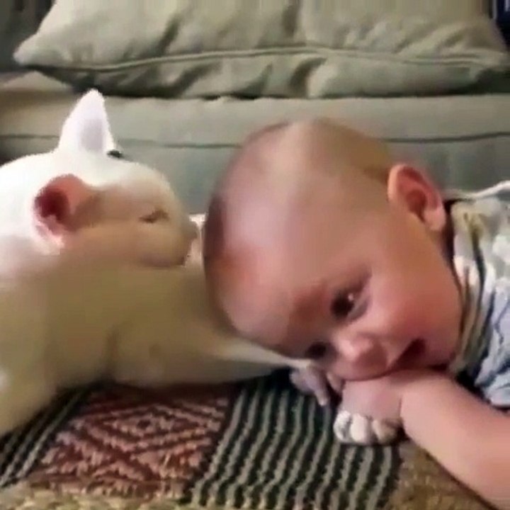 Funny baby and Cat