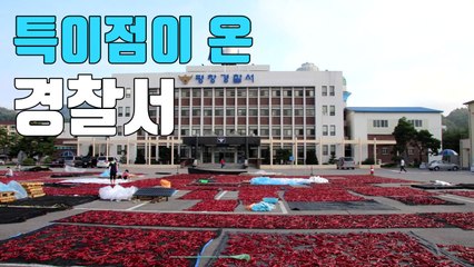 [자막뉴스] 고추 건조장이 된 평창경찰서 주차장 눈길 / YTN