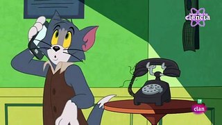 Tom y Jerry  Danzad, felinos CAPITULO COMPLETO EN ESPAÑOL