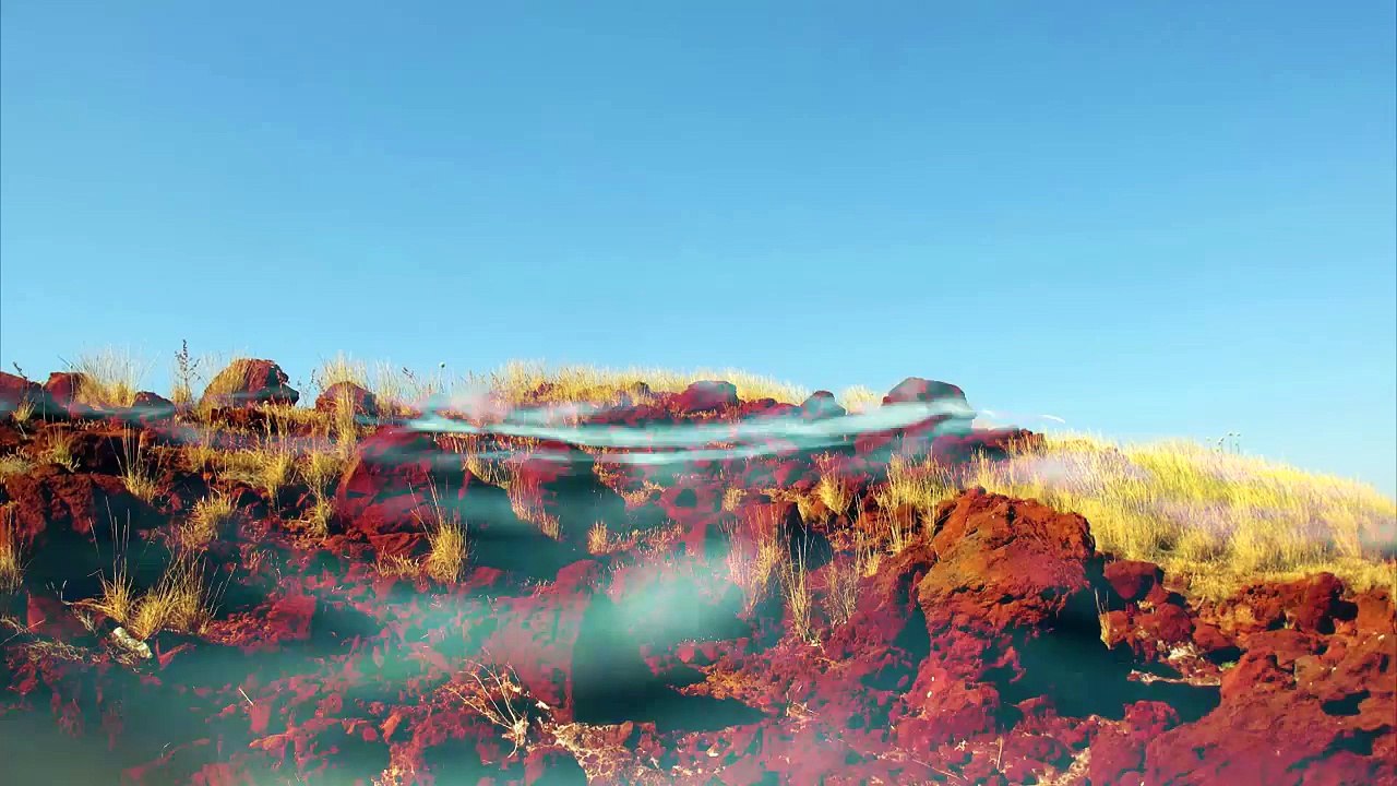 Hombre vuelve del TRIÁNGULO DE LAS BERMUDAS con vida tras 7 años