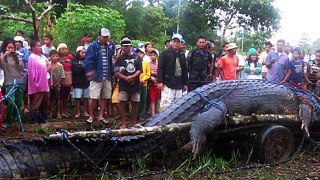 10 Scary Reptiles Caught