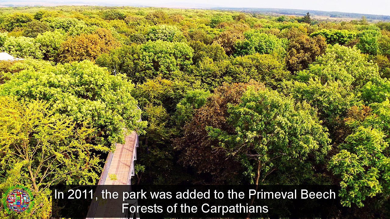 Top Tourist Attractions Places To Visit In Germany | Hainich National Park  Destination Spot - Tourism in Germany