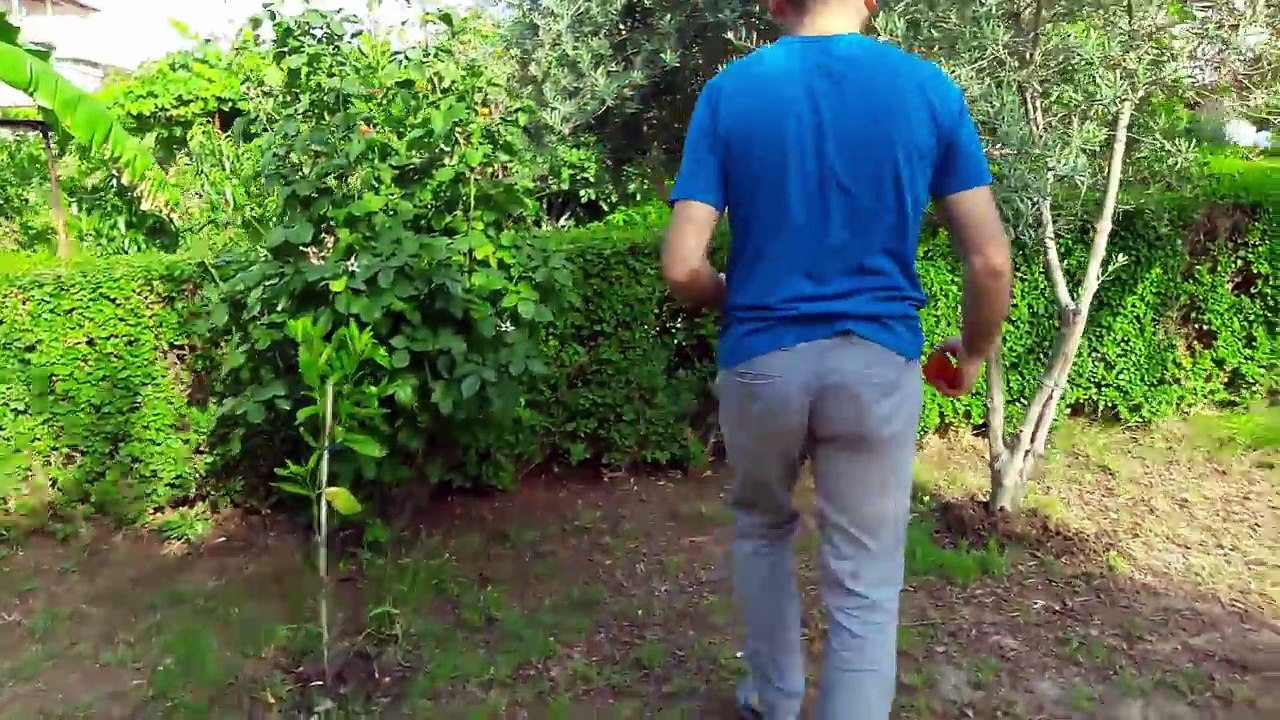 Kuzenim Esma ile bahçede DONDURMA AVINA çıktık, En çok bulan kazanır