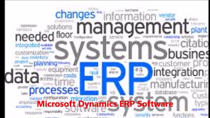 ERP Microsoft Software