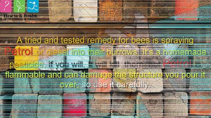 How to Get Rid of Carpenter Bees - Home Remedies