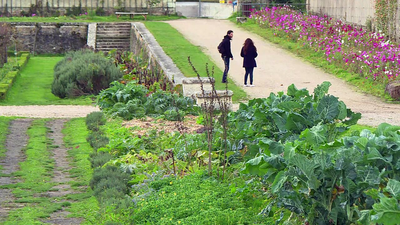 A Versailles, les mécènes au chevet du potager du roi