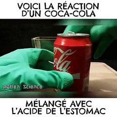 Il mélange du Coca à de l'acide gastrique pour voir ce qu'il se passe dans notre estomac