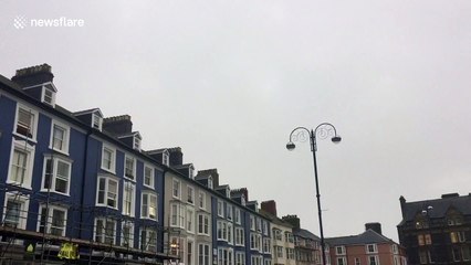 Mesmerising starling murmuration in Aberystwyth