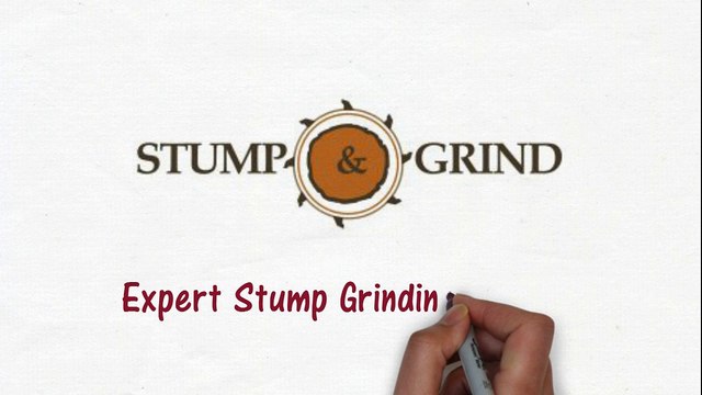 Stump Grinding Fort Collins