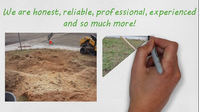 Stump Removal In Fort Collins