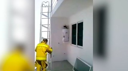 Un homme tente d'aider un chat coincé !