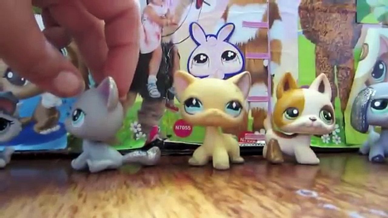 LPS:Девочка из детдома.