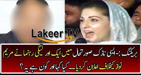 Another PMLN Leader Stand Against Maryam Nawaz