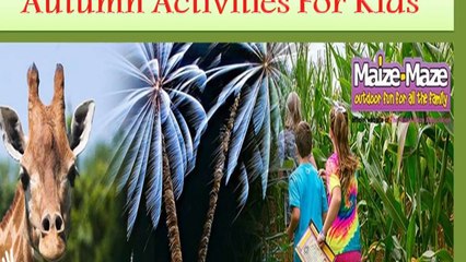 Autumn Activities For Kids